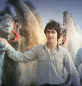 Taking the Blackpool Tower circus animals onto Blackpool Beach for filming of the Russell Harty TV Show in 1982